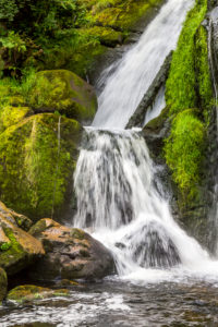 Triberger Wasserfälle, 163 m, 7 Stufen, Triberg, Schwarzwald, Baden-Württemberg, Deutschland Triberger Wasserfälle, 163 m, 7 Stufen, Triberg, Schwarzwald, Baden-Württemberg, Deutschland